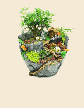 Tiểu cảnh để bàn